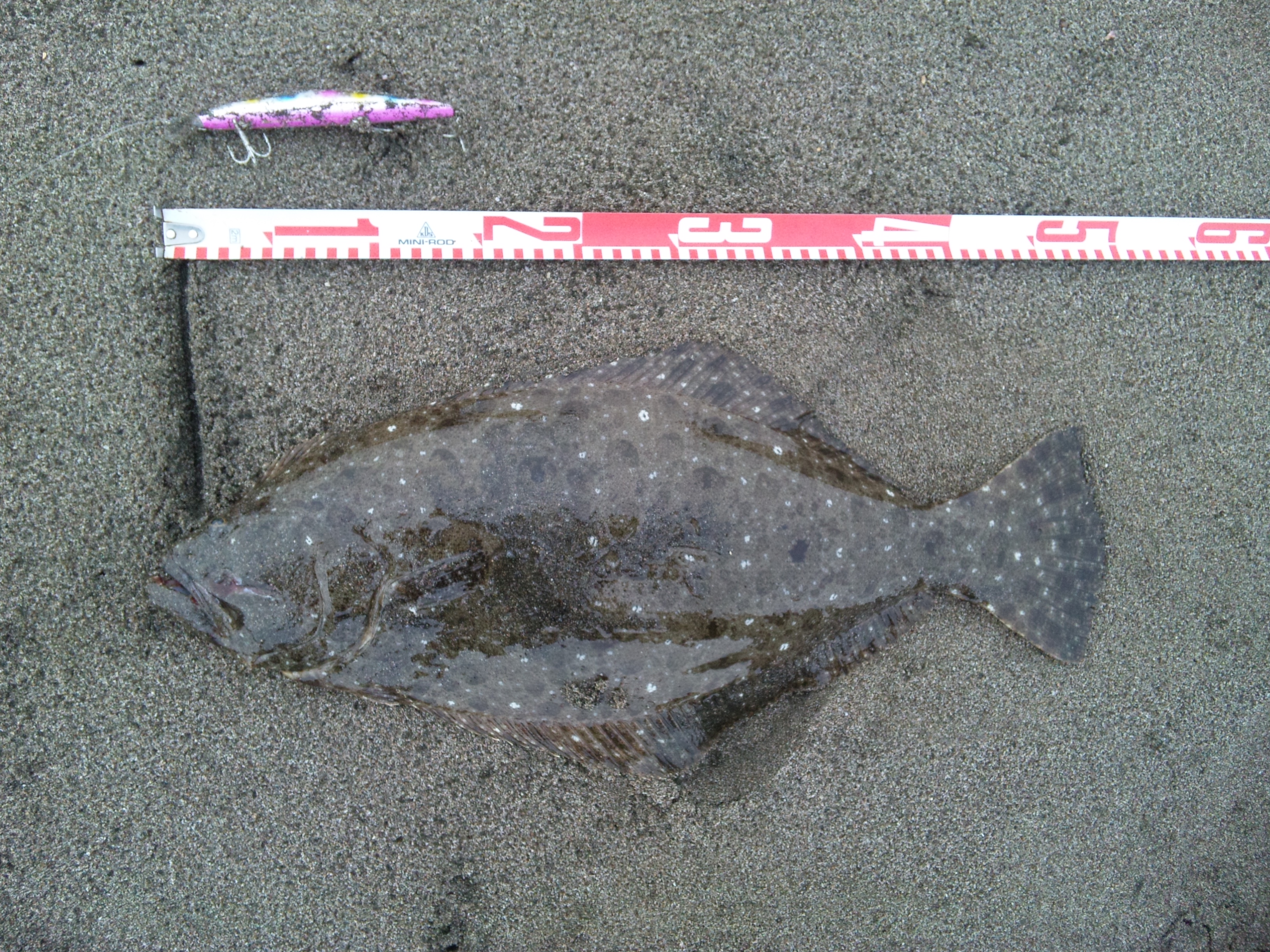 ヒラメミノー2 房州魚釣研究所